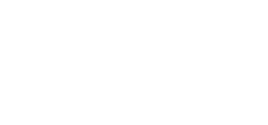 Hanza Hotel Homepage